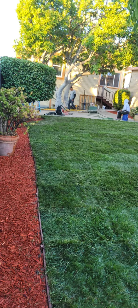 pablolandscapingmaintenanceca